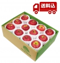 【数量限定 12月上旬～ 発送】完熟りんご ピンクレディー S箱