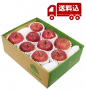 【予約商品　12月上旬～ 発送】　完熟りんご　サンふじ　S箱