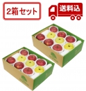 【12月上旬～ 発送】完熟りんご 「サンふじ・王林」 S箱×2【2箱セット】