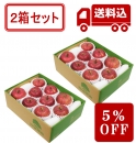 【予約商品 12月上旬～ 発送】 「サンふじ」×2 【2箱セット】