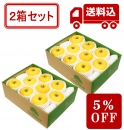 【予約商品 12月上旬～ 発送】 「シナノゴールド」×2 【2箱セット】