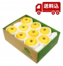 【予約商品 12月上旬～ 発送】完熟りんご シナノゴールド S箱
